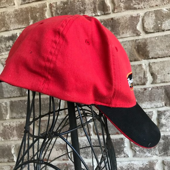 Dale Earnhardt Jr #8 Budweiser Cap Nascar Vintage - Picture 7 of 16